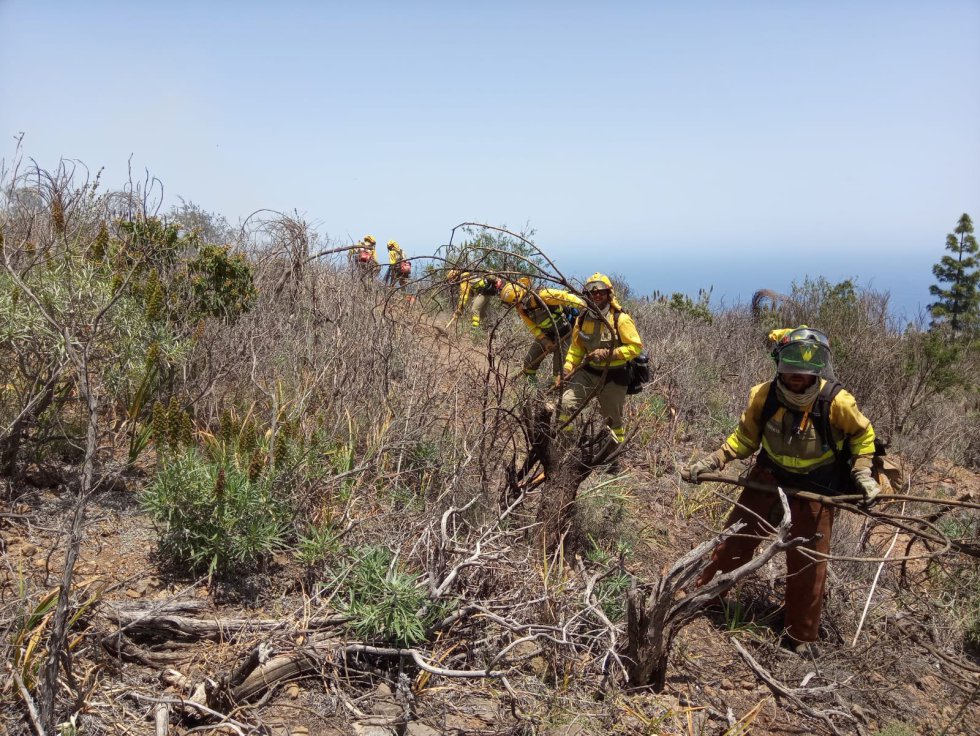 Equipo de extinción de incendios Equipo de extinción de incendios