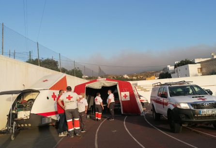 La superficie afectada en el incendio de Arico afecta a 1 ...