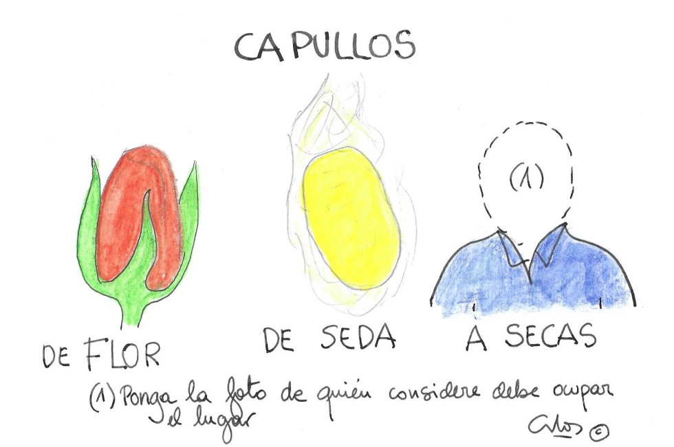 La viñeta de Villanueva, capullos La viñeta de Villanueva, capullos