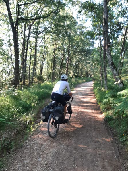 In the middle of the Camino de Santiago route