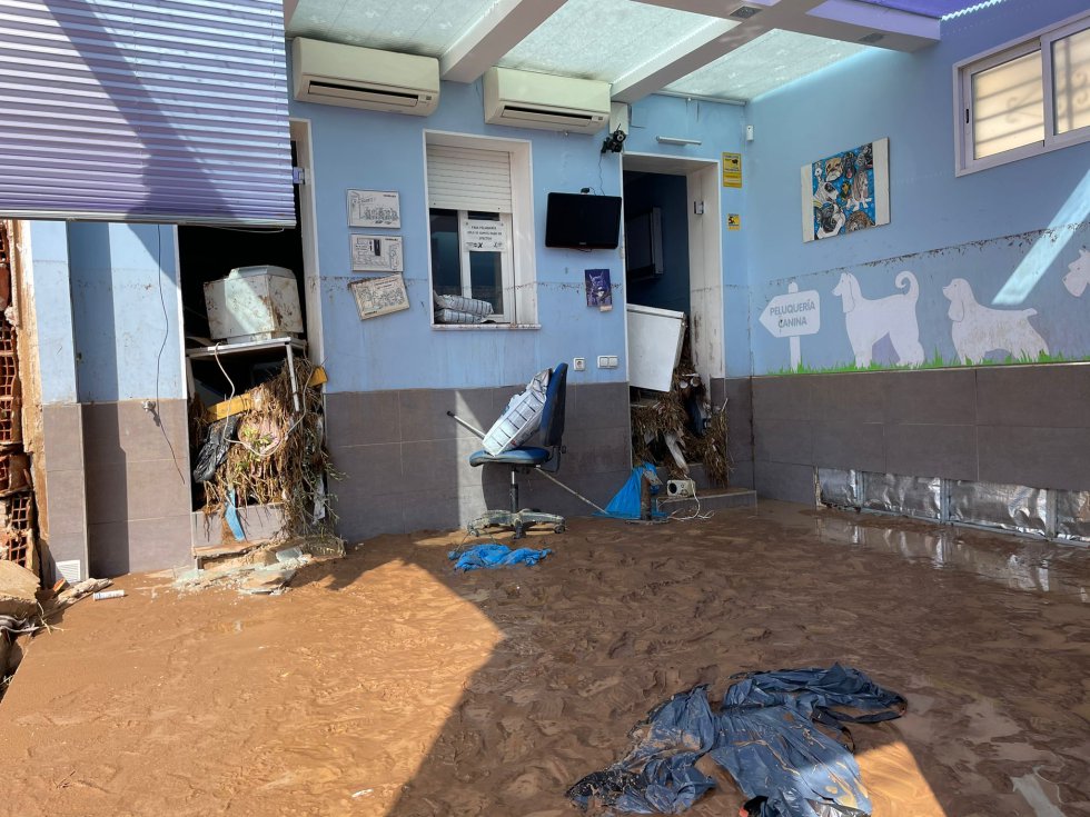 FOTOGALERÍA | Cobisa, día 1 tras la gran tormenta FOTOGALERÍA | Cobisa, día 1 tras la gran tormenta