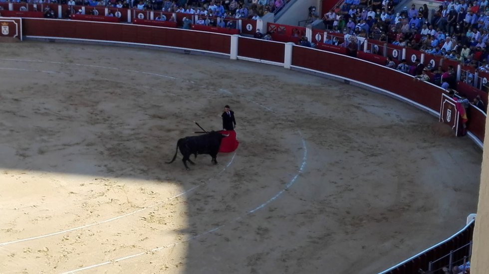 Finito de Córdoba, durante su faena al primer toro de la Feria Taurina 2021 Finito de Córdoba, durante su faena al primer toro de la Feria Taurina 2021