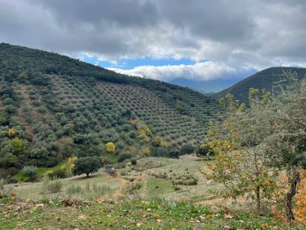 Views from one of the valleys of Solana del Pino