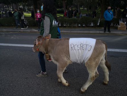 Un xatín acompaña a una ganadera en la manifestación del sector por la calle Uría de Oviedo