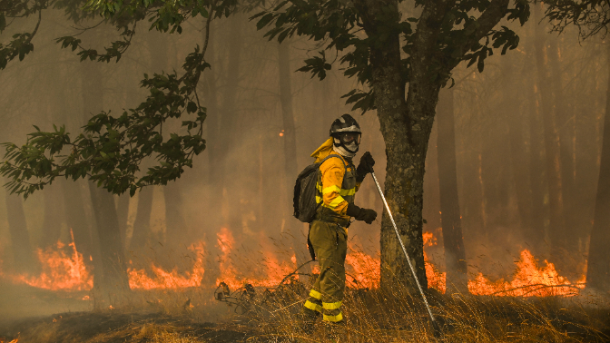 Incendios forestales