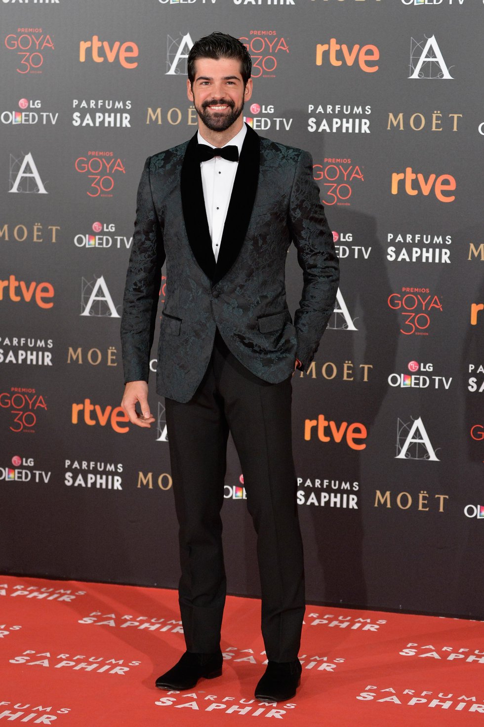 GOYA 2016: La alfombra roja, en imágenes GOYA 2016: La alfombra roja, en imágenes
