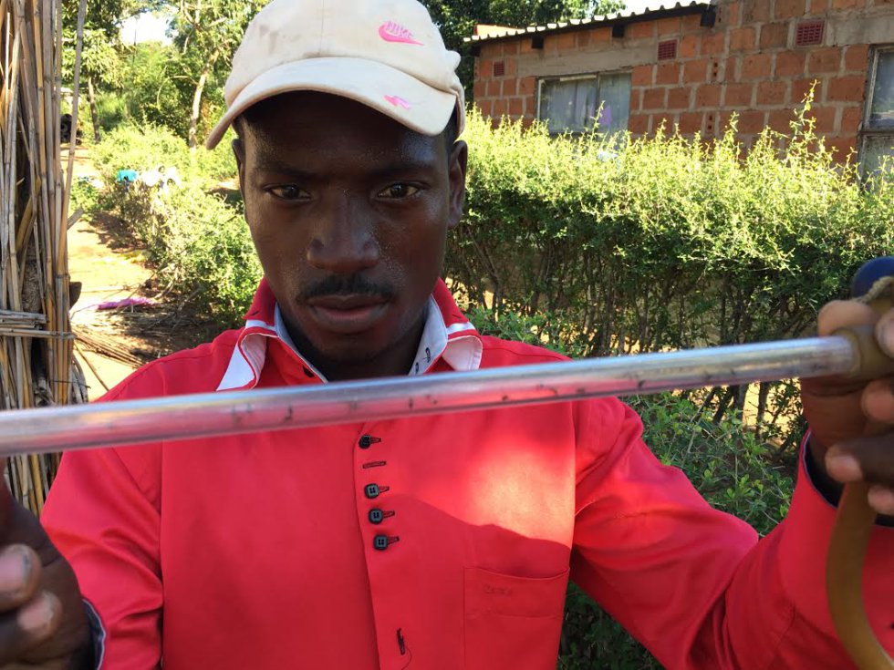 Celso ha capturado decenas de mosquitos en una de las casas del barrio de Palmeira. Celso ha capturado decenas de mosquitos en una de las casas del barrio de Palmeira.