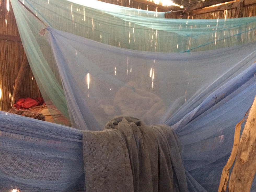 Mosquiteras bajo las que duermen para protegerse de la malaria Mosquiteras bajo las que duermen para protegerse de la malaria