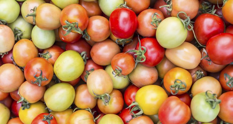 Propiedades y beneficios del tomate cherry Propiedades y beneficios del tomate cherry