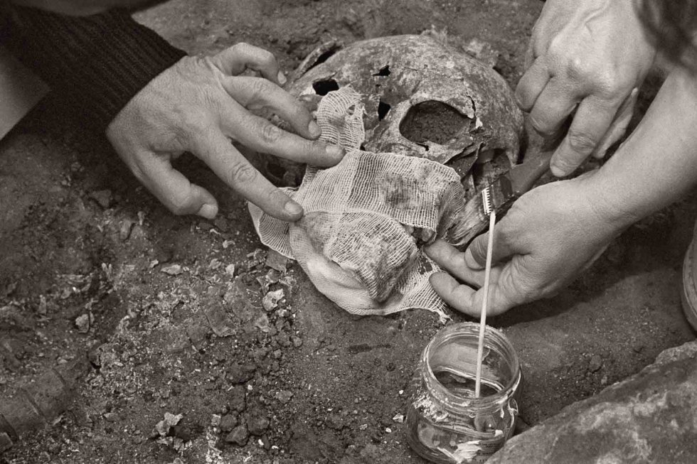 Las antropólogas refuerzan la calavera para que no se rompa. La Puebla de Cazalla (Sevilla), junio de 2009. Las antropólogas refuerzan la calavera para que no se rompa. La Puebla de Cazalla (Sevilla), junio de 2009.
