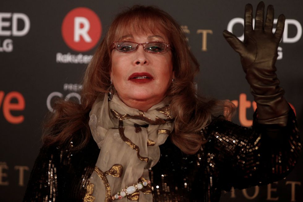 Massiel saluda a la prensa a su llegada a los Goya. Massiel saluda a la prensa a su llegada a los Goya.