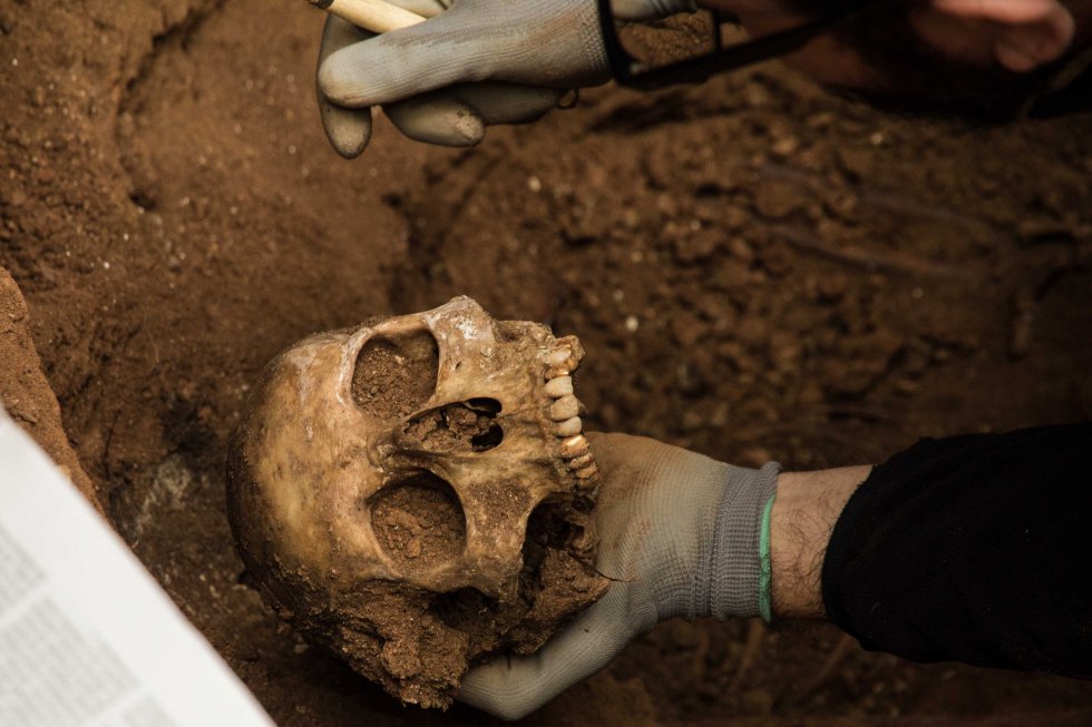 Uno de los antropólogos sostiene en la mano los restos de uno de los cráneos hallados en las fosas comunes exhumadas en el cementerio. Uno de los antropólogos sostiene en la mano los restos de uno de los cráneos hallados en las fosas comunes exhumadas en el cementerio.