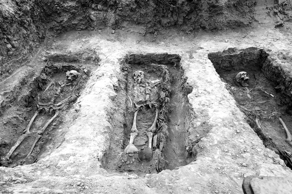 Tres cadáveres encontrados en una de las fosas del antiguo cementerio civil de Guadalajara. Tres cadáveres encontrados en una de las fosas del antiguo cementerio civil de Guadalajara.