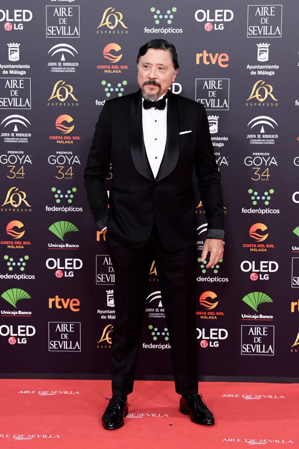 Carlos Bardem en la alfombra roja de los Premios Goya 2020. Carlos Bardem en la alfombra roja de los Premios Goya 2020.