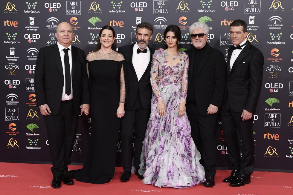El equipo de Dolor y Gloria en la alfombra roja de los Premios Goya 2020 El equipo de Dolor y Gloria en la alfombra roja de los Premios Goya 2020