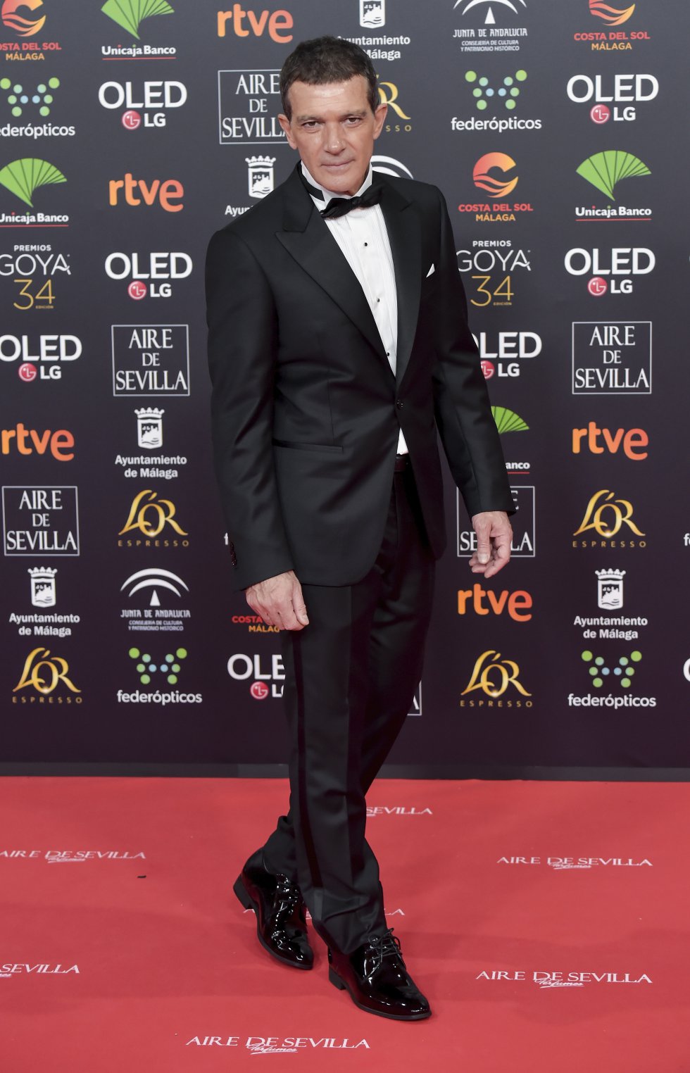 Antonio Banderas en la alfombra roja de los Premios Goya 2020 Antonio Banderas en la alfombra roja de los Premios Goya 2020