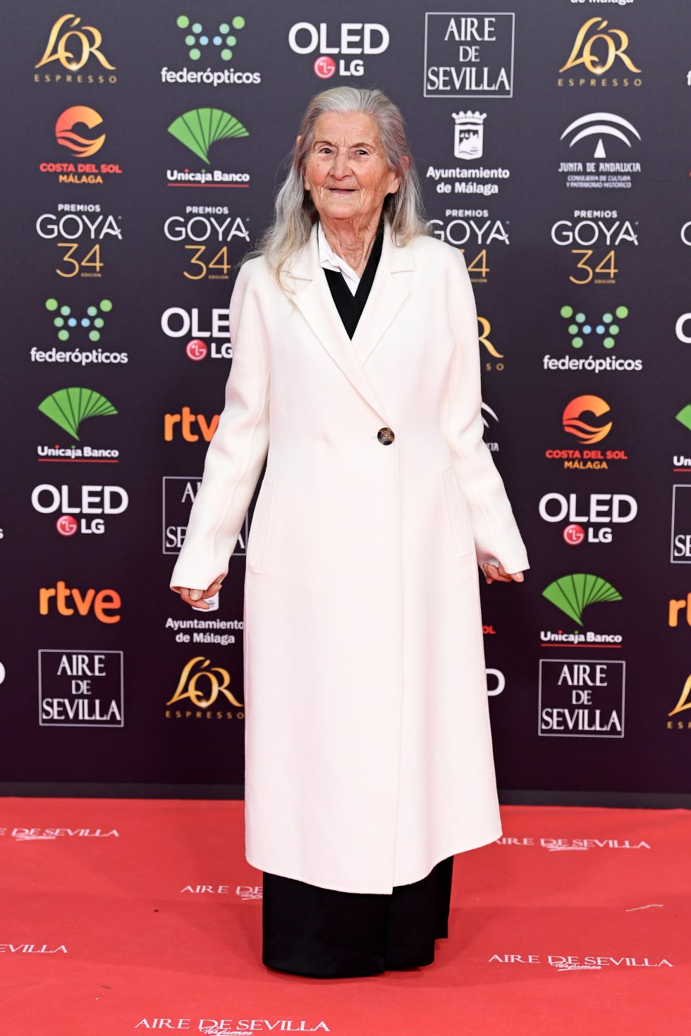 Benedicta Sánchez en la alfombra roja de los Premios Goya 2020 Benedicta Sánchez en la alfombra roja de los Premios Goya 2020
