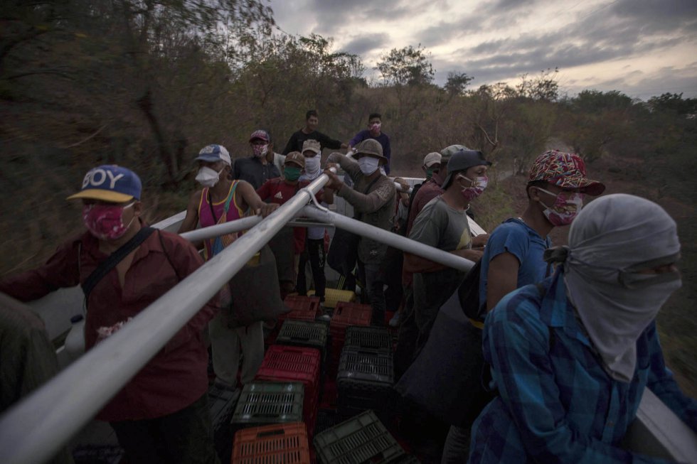 Pandemia. Miradas de una tragedia Pandemia. Miradas de una tragedia