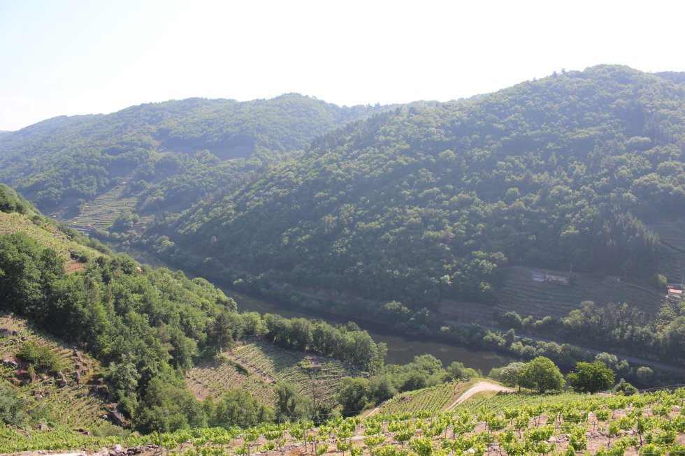 La Ventana desde la Ribeira Sacra, en imágenes La Ventana desde la Ribeira Sacra, en imágenes