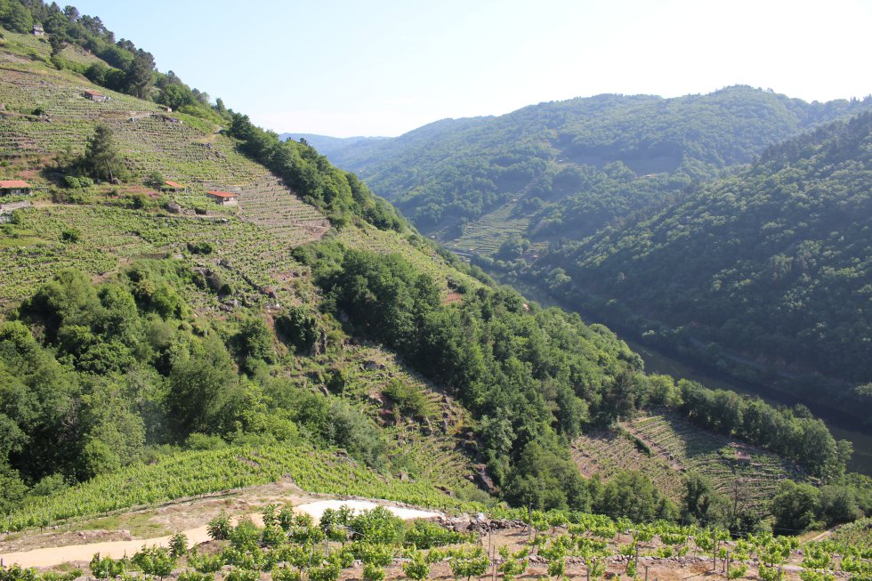 La Ventana desde la Ribeira Sacra, en imágenes La Ventana desde la Ribeira Sacra, en imágenes