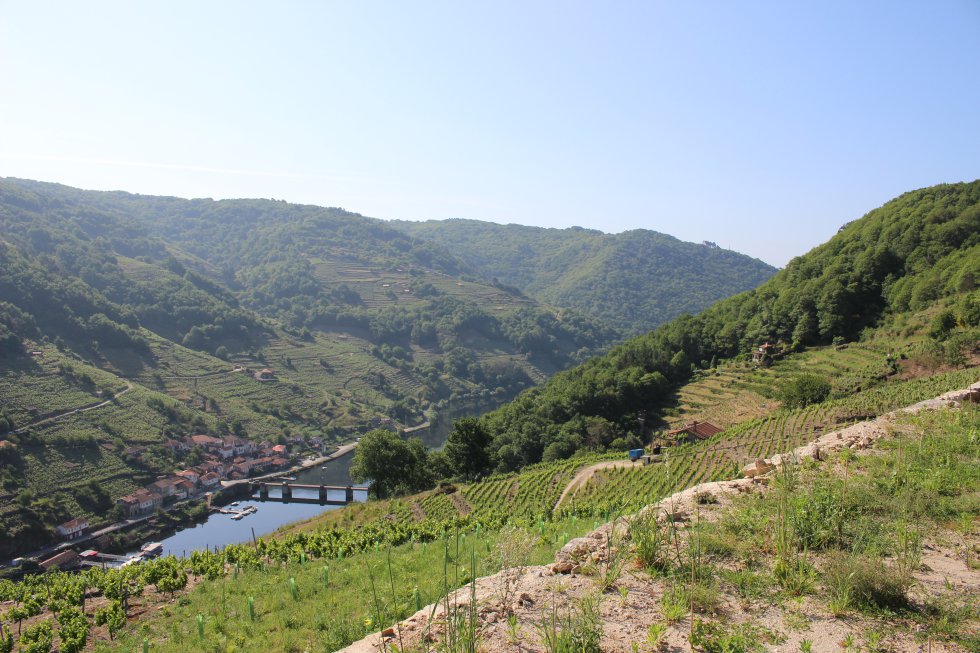 La Ventana desde la Ribeira Sacra, en imágenes La Ventana desde la Ribeira Sacra, en imágenes