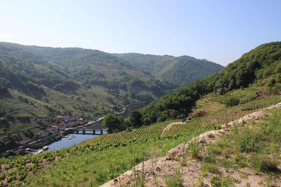 La Ventana desde la Ribeira Sacra, en imágenes La Ventana desde la Ribeira Sacra, en imágenes