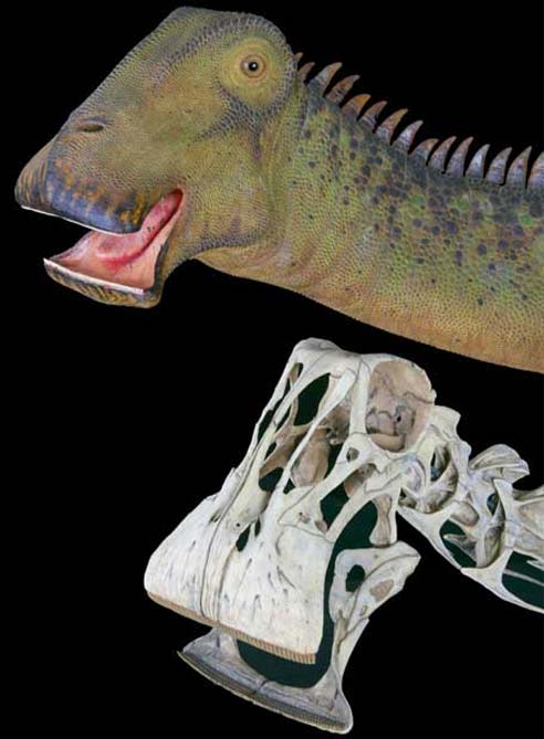 El extraño dinosaurio con mas dientes del mundo | Sociedad | Cadena SER