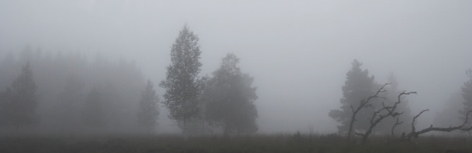 La niebla es protagonista este lunes en el centro de la Península