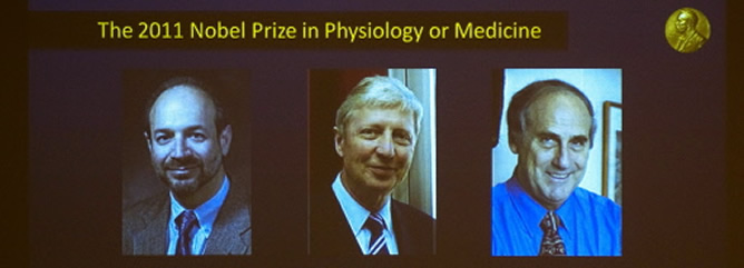 Beutler, Hoffman y Steinman, ganadores del Premio Nobel de Medicina 2011