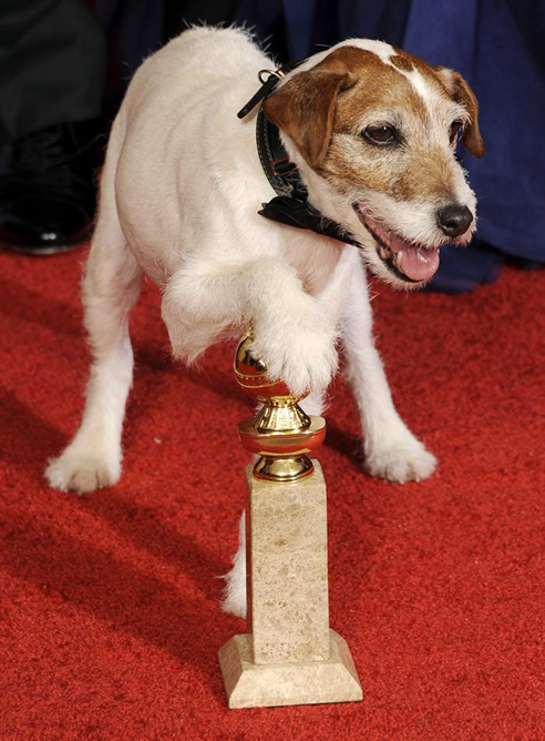 El perro de 'The artist' tendrá un número junto a Billy Crystal en los Oscar