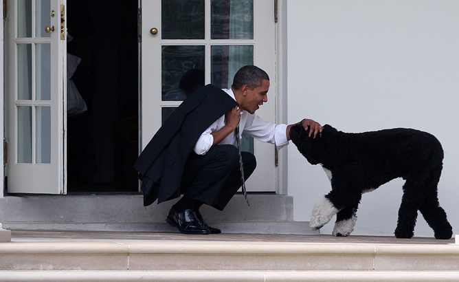 Barack Obama juega con el perro de sus hijas en la Casa Blanca