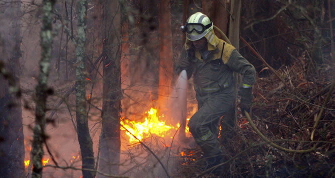 Cerca de doscientas hectáreas de monte ha quemado ya el incendio forestal que afecta al parque natural de las Fragas do Eume