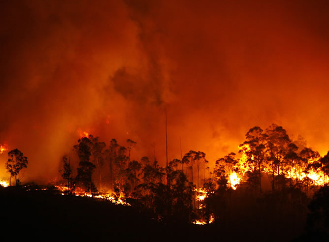 El incendio en el parque de As Fragas do Eume, en imágenes