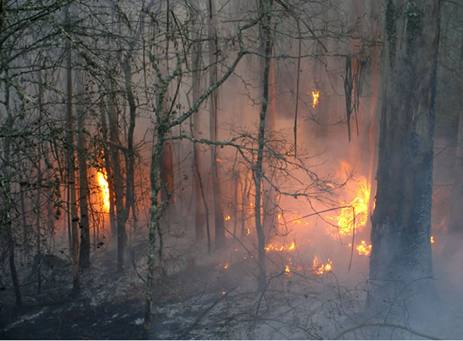 El incendio en el parque de As Fragas do Eume, en imágenes