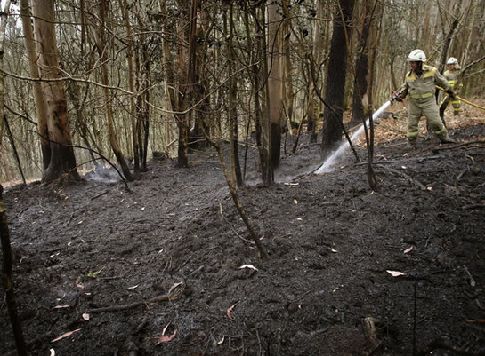 FOTOGALERIA: Una brigada de los servicios de extinción de incendios refresca el perímetro del incendio que asoló el parque nacional