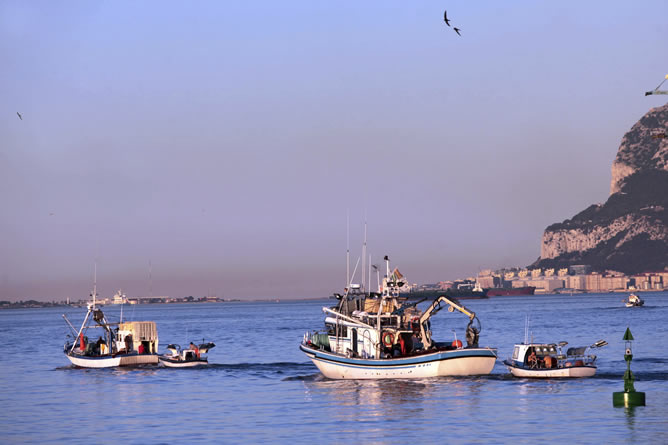 Pesqueros del puerto de Algeciras salen a faenar en aguas de la bahía