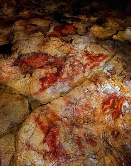 FOTOGALERIA: Techo de la cueva de Altamira