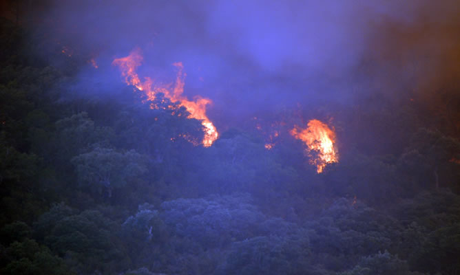 El fuego quema parte del Parque Nacional de Cabañeros, que se ha declarado en la tarde del sábado en el término municipal de Navas de Estena (Ciudad Real)