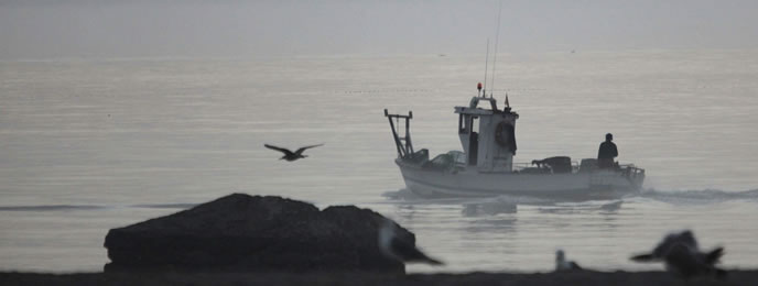 Un pesquero se dirige al puerto de la Atunara de la Línea de la Concepción.
