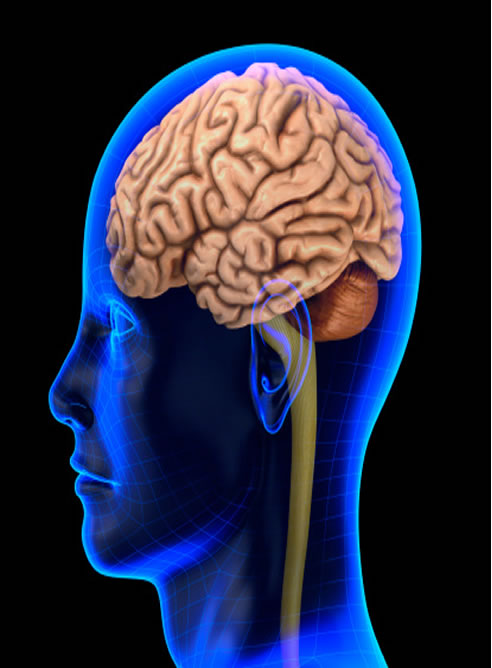 Es posible la lectura de la actividad eléctrica simultánea de distintas zonas del cerebro