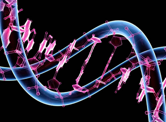 Resultado de imagen de genoma humano