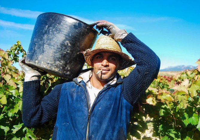 "Trabajar en el campo es muy duro y te hace envejecer mucho más rápido", explica Juan Maia.
