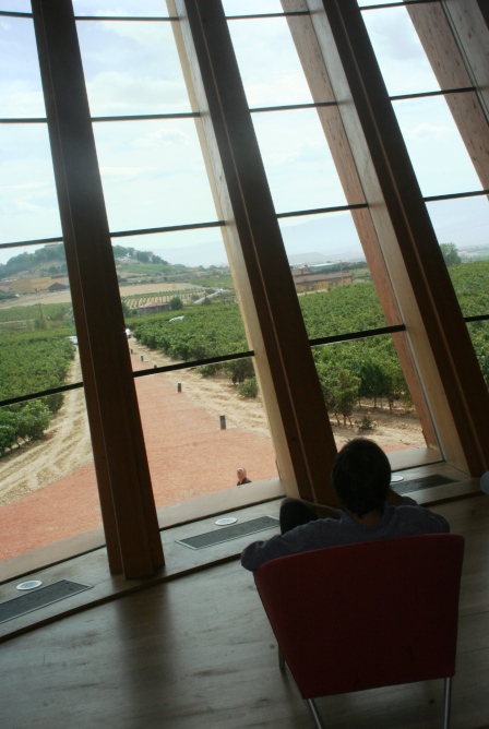 El imponente edificio de las bodegas Ysios, diseñado por el arquitecto Santiago Calatrava, goza además de unas vistas privilegiadas.