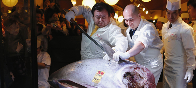El presidente de la cadena de restaurantes de sushi Kiyomura corta el atún rojo más caro del mundo