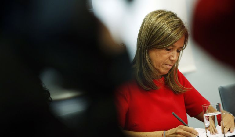 Ana Mato, durante una rueda de prensa en Madrid