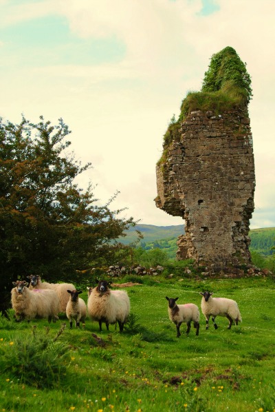 Restos de Castletown (fuerte del clan O'Rourke (Cuéllar Trail)