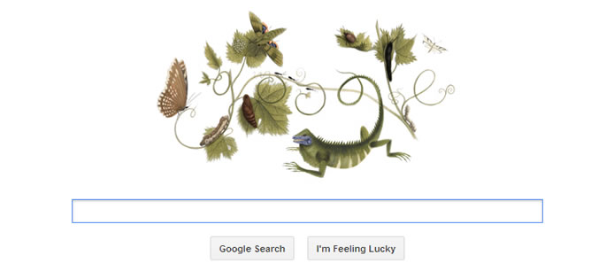 Maria Sibylla Merian, doodle de Google