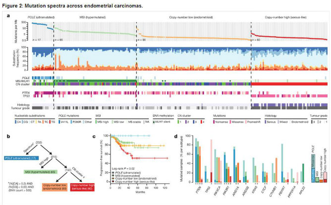 Captura de pantalla de una tabla en la que aparecen los espectros de mutación en los carcinomas endometriales