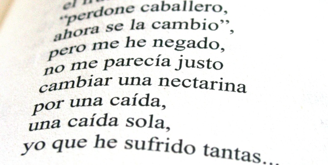 Imagen de un fragmento del poema 'Nectarina', de la obra 'Neorrabioso. Poemas y pintadas'.