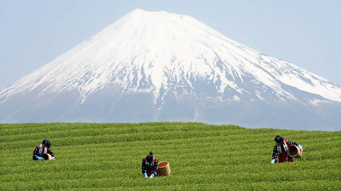 Los japoneses consideran sagrado el Fujiyama (monte Fuyi en japonés), el punto más alto del país, y miles viajan todos los veranos allí para subir a la cumbre, porque es la única época del año que el tiempo lo permite.